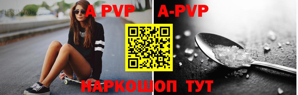A PVP СК КРИС Бийск