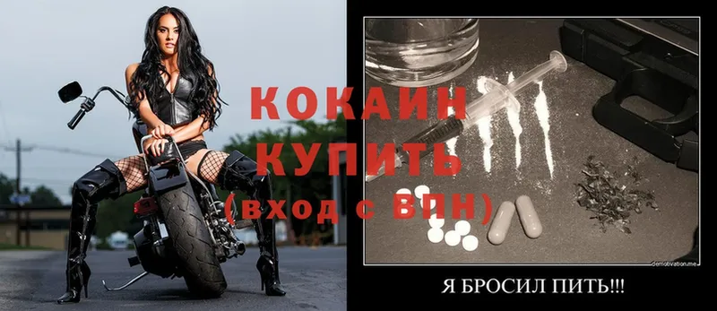 сколько стоит  Бийск  COCAIN FishScale 