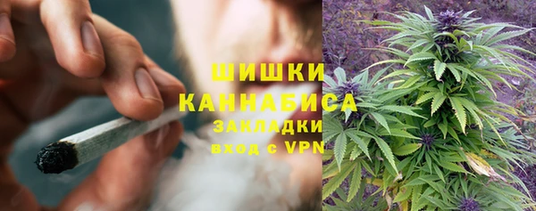 стафф Медвежьегорск
