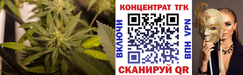 закладки Бийск Дистиллят ТГК Wax