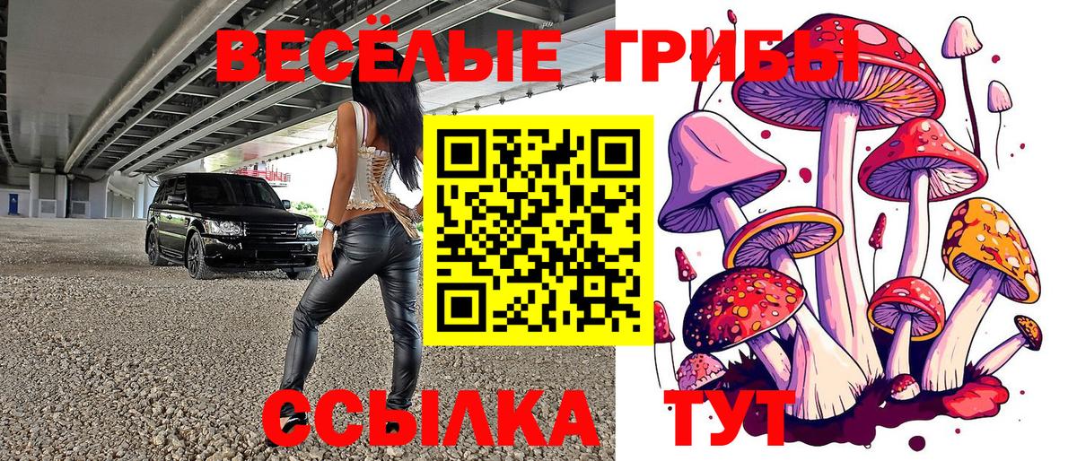 Псилоцибиновые грибы мухоморы  Бийск 