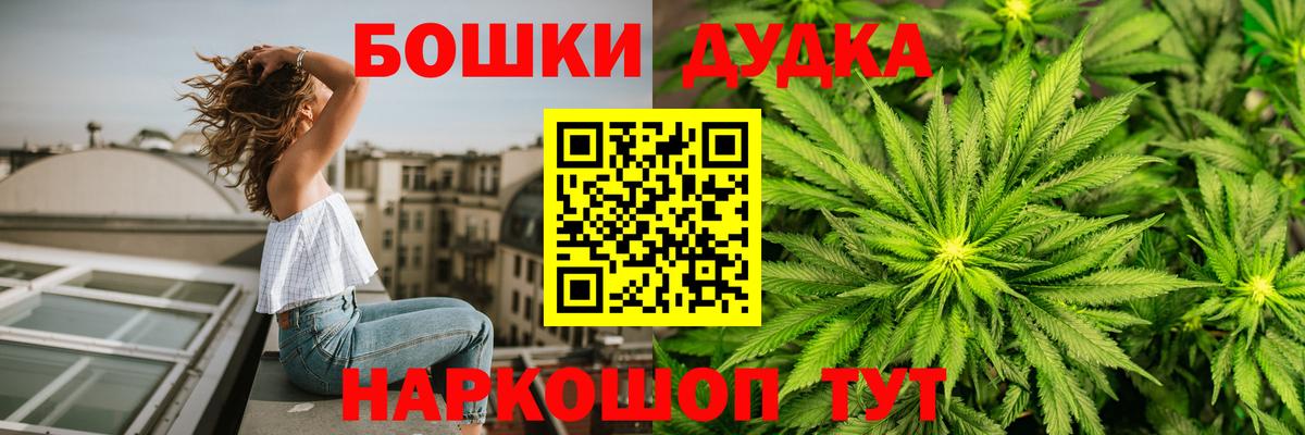 Шишки марихуана планчик  Конопля ГИДРОПОН  Канабис White Widow  Бийск  Вход с VPN 